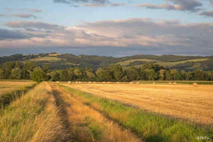 En Auvergne Le Ruisseau Appartement *