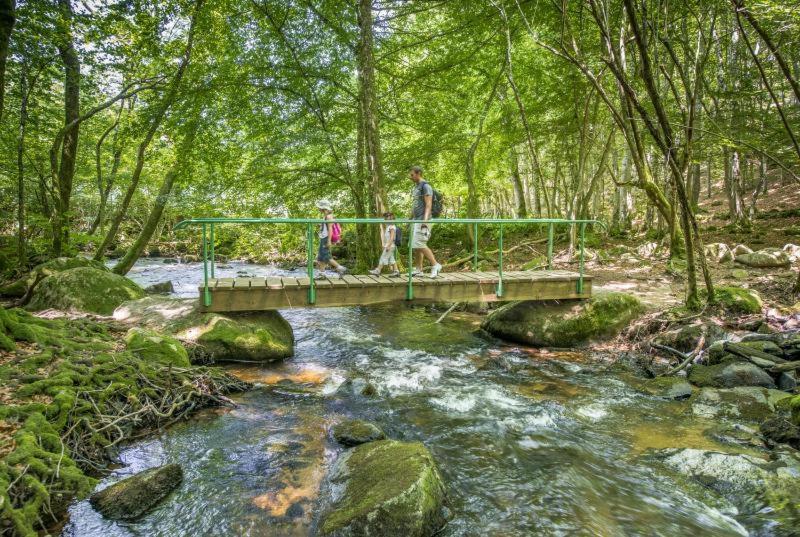 En Auvergne Le Ruisseau Appartement *