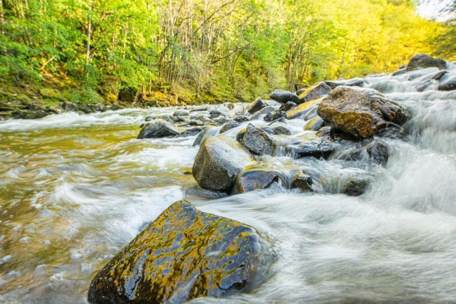 Appartement En Auvergne Le Ruisseau